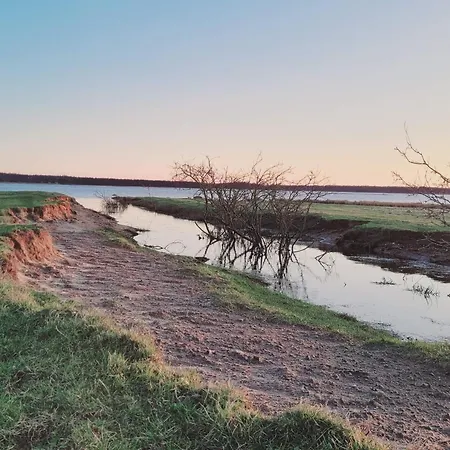 Feriehus 4 Person In Oksbol-by Traum *