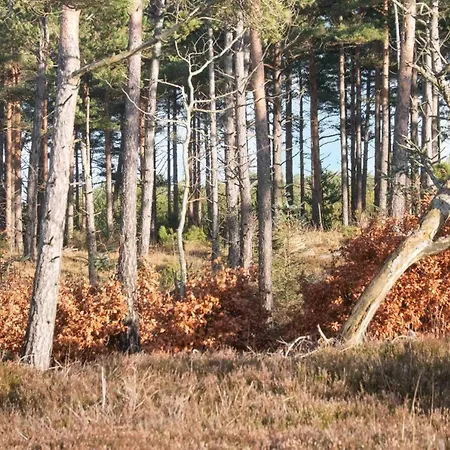 4 Person In Oksbol-by Traum Feriehus *