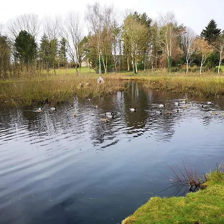 Feriehus 4 Person In Oksbol-by Traum