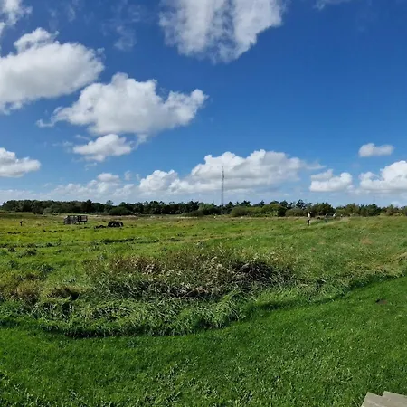 Feriehus 4 Person In Oksbol-by Traum