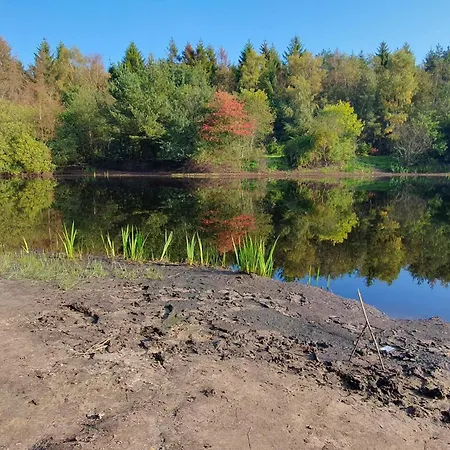 Feriehus 4 Person In Oksbol-by Traum *