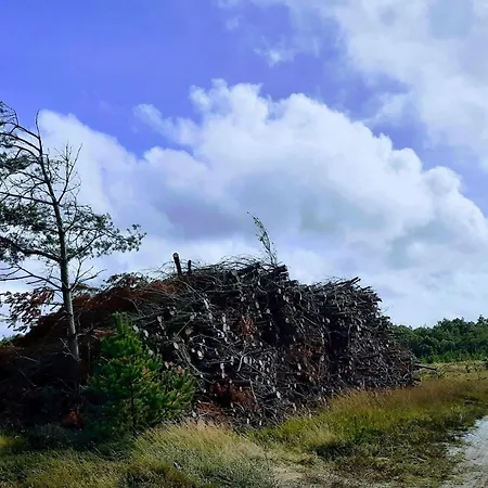 4 Person In Oksbol-by Traum Feriehus