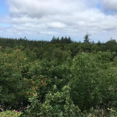 Feriehus 4 Person In Oksbol-by Traum