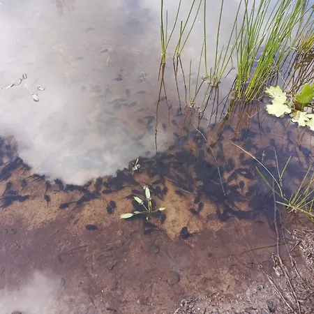 4 Person In Oksbol-by Traum Oksbøl